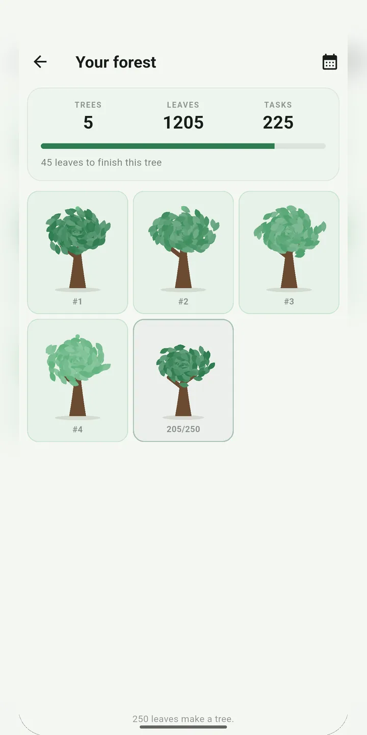Your forest